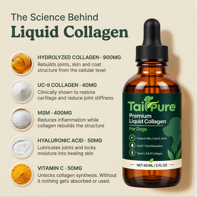 TailPure Premium Liquid Collagen