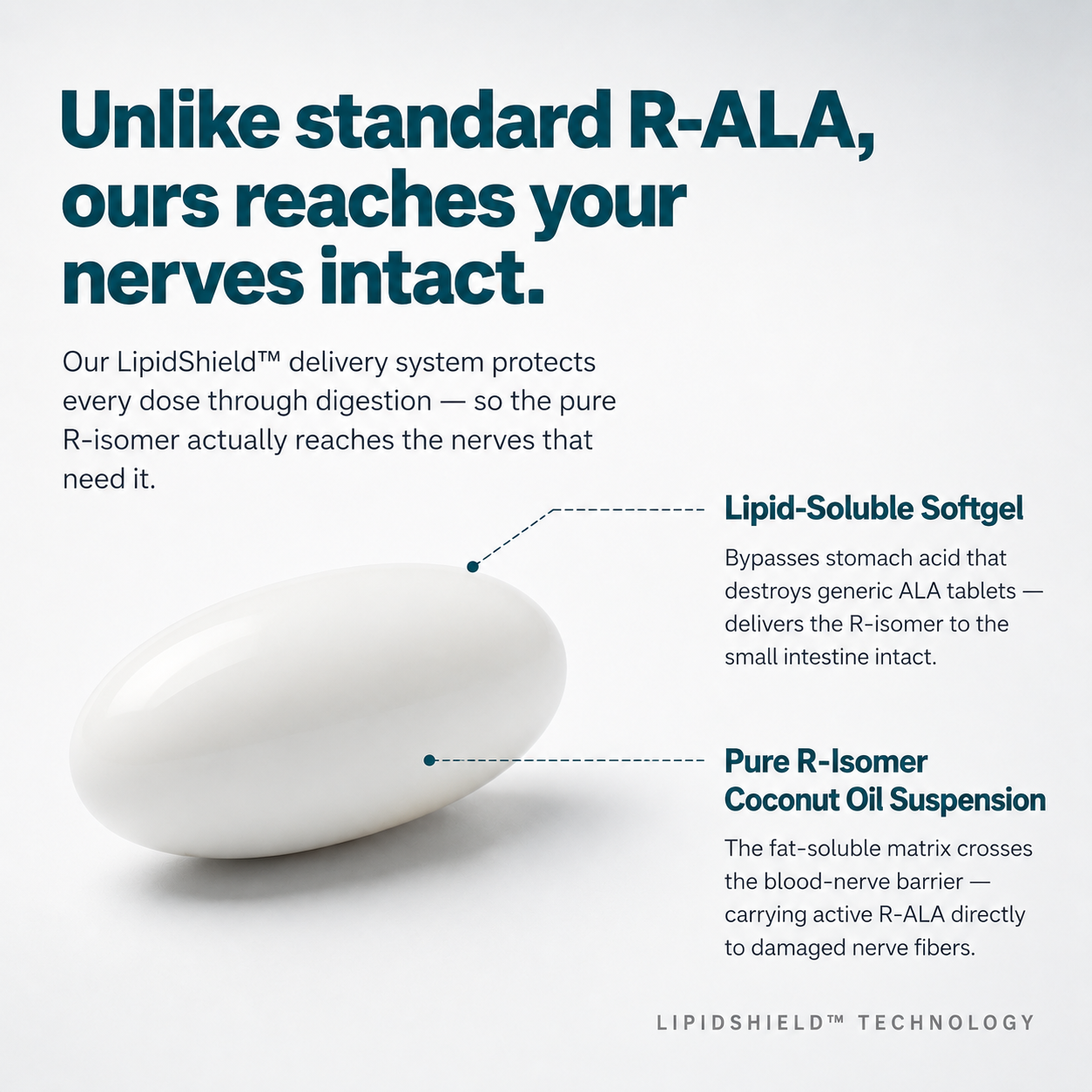 Vytal's Stabilized R-alpha Lipoic Acid