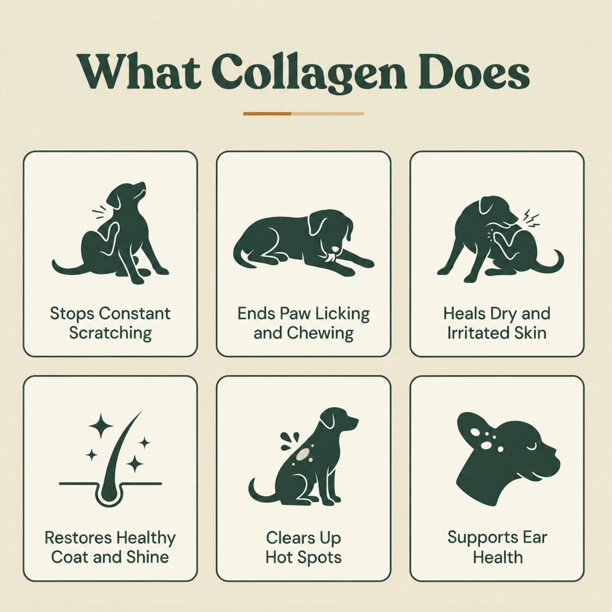 TailPure Premium Liquid Collagen