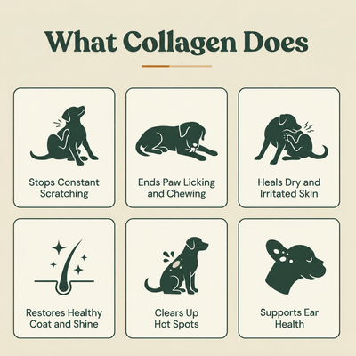TailPure Premium Liquid Collagen