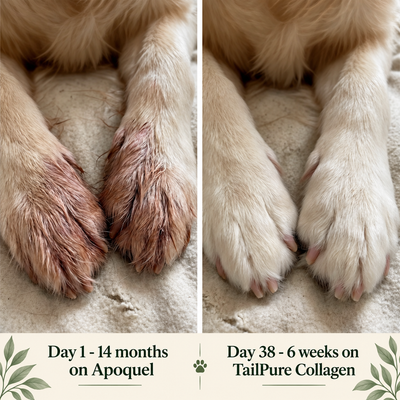 TailPure Premium Liquid Collagen