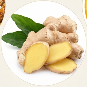 Ginger Root
