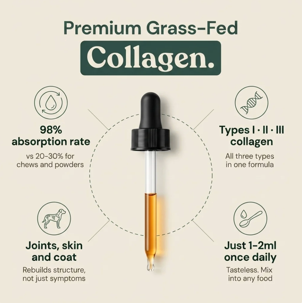 TailPure Premium Liquid Collagen