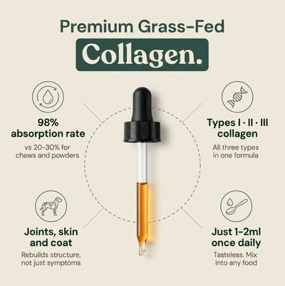 TailPure Premium Liquid Collagen