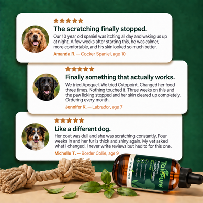 TailPure Premium Liquid Collagen